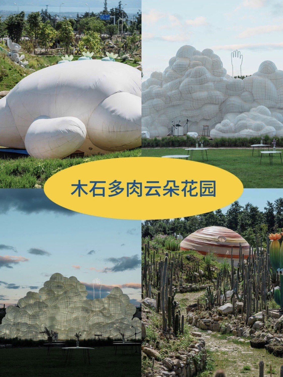 遛娃圣地:大理木石多肉云朵花园9192