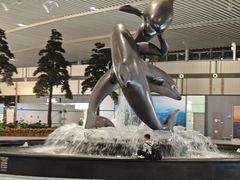 -青岛胶东国际机场