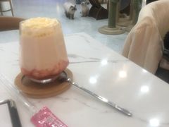 -喵园·猫主题咖啡厅·撸猫·猫咖(国贸店)