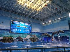 -多彩贵州城极地海洋世界