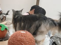 -瞄一喵猫咖(格力海岸店)