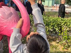 -秦皇岛野生动物园