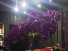 -LANN l 蘭 泰式古法按摩(宝山日月光店)