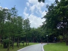 -晓港公园