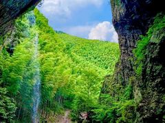 -藏龙百瀑风景区