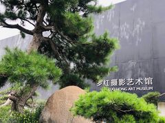 -罗红摄影艺术馆