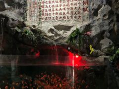 -苏州海洋馆