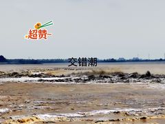 -观潮胜地公园