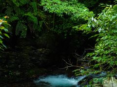 -西岭雪山大飞水景区
