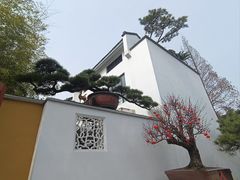 -龙华素斋(龙华路店)