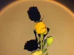 -千稻剁椒大鱼头(CityOn熙地港店)