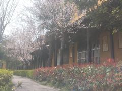 -圆通寺