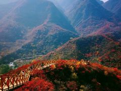 -水峪民俗村
