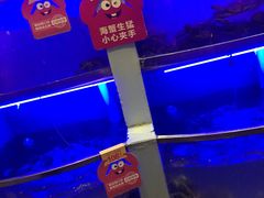-七欣天香辣蟹火锅(扬州望月路店)