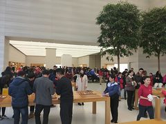 -Apple零售店(济南恒隆广场店)