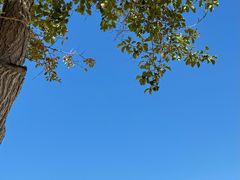 -玉龙沙湖景区