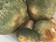 -菌之家·专业纯野生菌火锅·特色炒菌