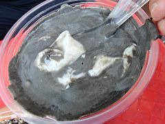 -钟姨糖水(惠城店)