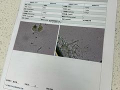 -凯瑞希宠物医院·狂犬免疫·微创·皮肤科
