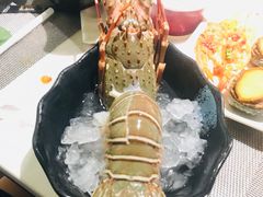 -海玥荟海鲜姿造自助餐厅(欧罗巴广场店)