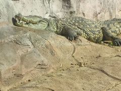 -武汉动物园