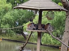 -上海野生动物园