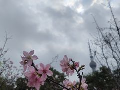 -文华公园(禅城区)