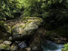 -西岭雪山大飞水景区