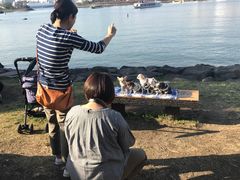 -台场海滨公园船码头