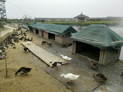 android_upload_pic-稻梦空间