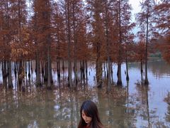 -白鹭湾湿地公园