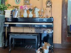 -猫岛主趣味餐厅(鼓浪屿店)