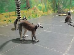 -西安秦岭野生动物园