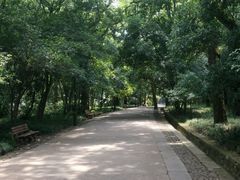 -灵谷景区