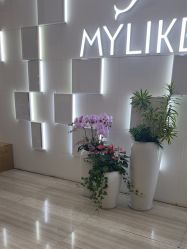 -深圳美莱医疗美容医院