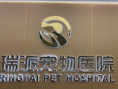 -瑞派康怡24h宠物医院·犬猫医疗中心·微创绝育(瑞景分院)