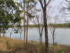 -美兰湖景区