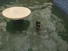 -长春农业博览园