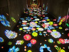 -波浪谷