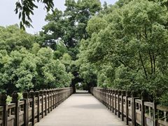 -南山植物园