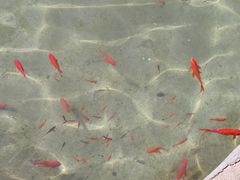 -碑林公园