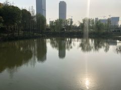 -尚贤河湿地