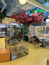 点击看大图 -开心哈乐儿童主题乐园(孙河易事达店)