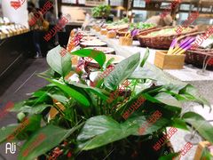 -印巷里主题餐厅(马鞍山店)