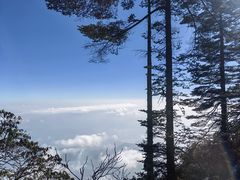 -瓦屋山景区
