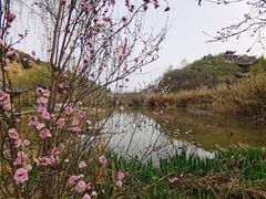 -渭南桃花源民俗文化园