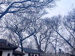 -上海佘山国家森林公园天马山园