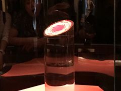 景点-金沙遗址博物馆