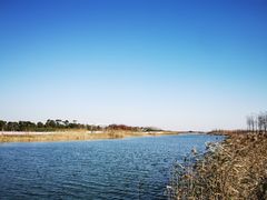 -春花秋色城市公园