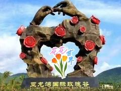 -亚龙湾国际玫瑰谷